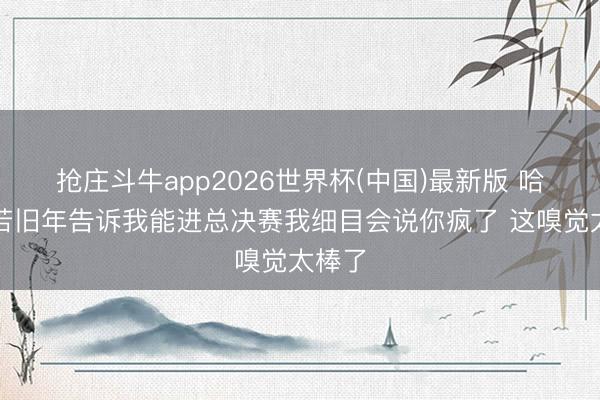 抢庄斗牛app2026世界杯(中国)最新版 哈珀：若旧年告诉我能进总决赛我细目会说你疯了 这嗅觉太棒了