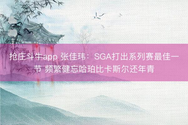 抢庄斗牛app 张佳玮：SGA打出系列赛最佳一节 频繁健忘哈珀比卡斯尔还年青