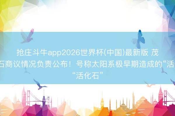 抢庄斗牛app2026世界杯(中国)最新版 茂名陨石商议情况负责公布!号称太阳系极早期造成的“活化石”